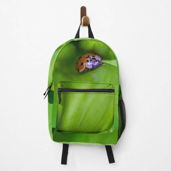 Item preview, Safety Zone - Ladybug on a Leaf - by heidiannemorris © designed and sold by FOLK ART FUSION.
