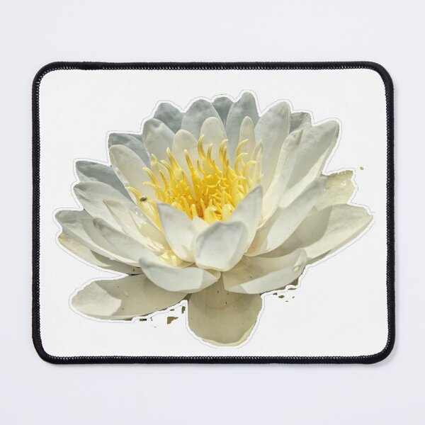 Item preview, Water Lily designed and sold by NaturalDesign218.