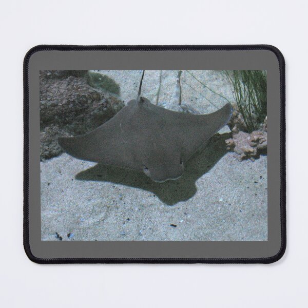 Item preview, Stingray designed and sold by MartyCreated.