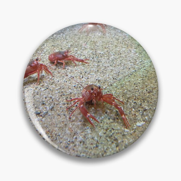 Item preview, Crabs designed and sold by MartyCreated.