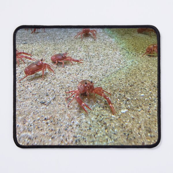 Item preview, Crabs designed and sold by MartyCreated.