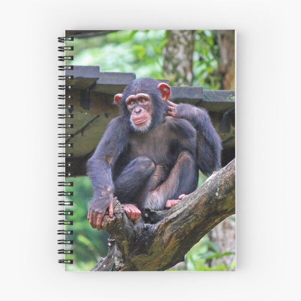 Item preview, Chimpanzee designed and sold by LeanneAllen.