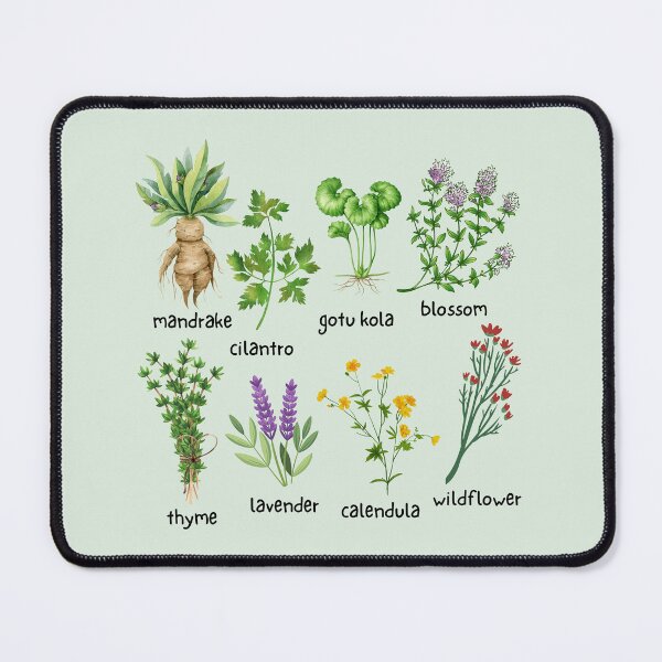 Item preview, Herbs and Healing Plants - Herbalist - Illustration Collection designed and sold by ZenReiArt.