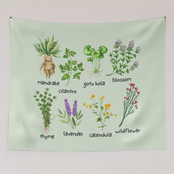 Item preview, Herbs and Healing Plants - Herbalist - Illustration Collection designed and sold by ZenReiArt.