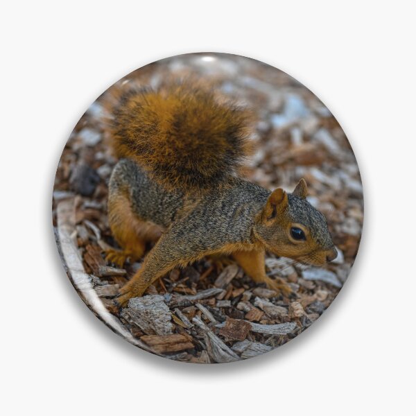 Artikelvorschau, Verspieltes Eichhörnchen auf Holzspänen entworfen und verkauft von BingxiStudio.