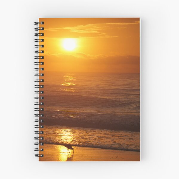 Item preview, Ocean Sunrise and Bird In Line designed and sold by cr33pyki77y.