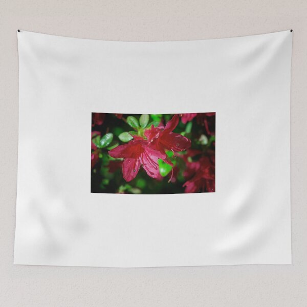 Item preview, The Azalea designed and sold by D-GaP.