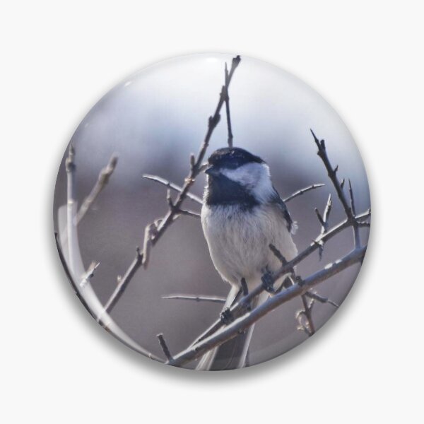 Item preview, Bird on Branch designed and sold by NaVisuals.