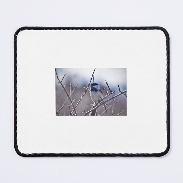 Item preview, Bird on Branch designed and sold by NaVisuals.