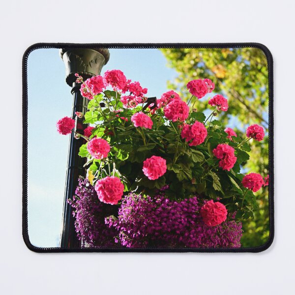 Item preview, Blooming Streetlight in Summer designed and sold by BingxiStudio.