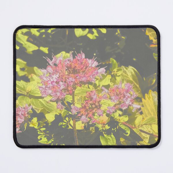 Item preview, Oregano designed and sold by Smitty Petalz.