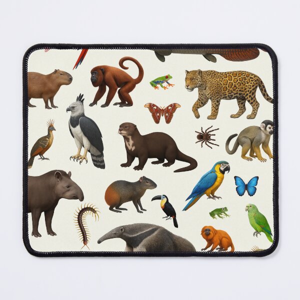 Item preview, Amazon Rainforest Animal Illustration Chart Wildlife Art designed and sold by kakarikihill.