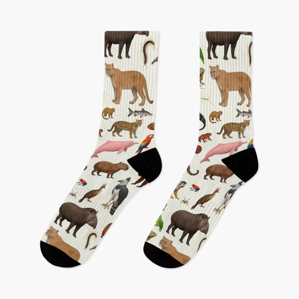 Item preview, Amazon Rainforest Animal Illustration Chart Wildlife Art designed and sold by kakarikihill.