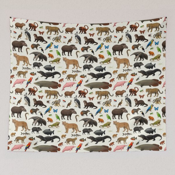 Item preview, Amazon Rainforest Animal Illustration Chart Wildlife Art designed and sold by kakarikihill.