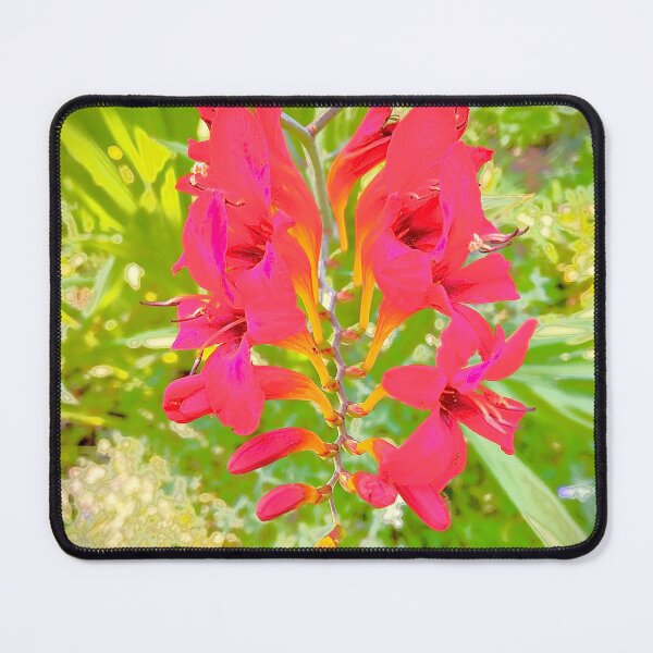Item preview, Chaotic Crocosmia designed and sold by Smitty Petalz.