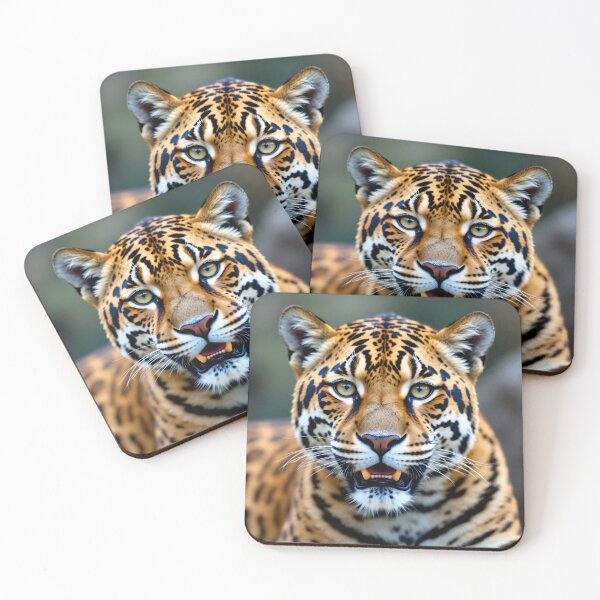Item preview, Jaguar designed and sold by Savannah Gibbs.