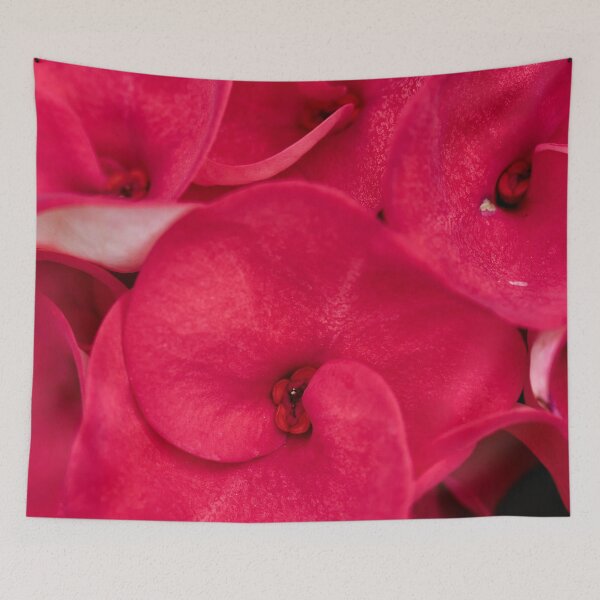 Item preview, Fascinating details of a vibrant red flower designed and sold by franck380.