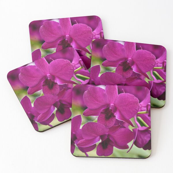 Item preview, Tropical splendor: the orchid in all its grace designed and sold by franck380.