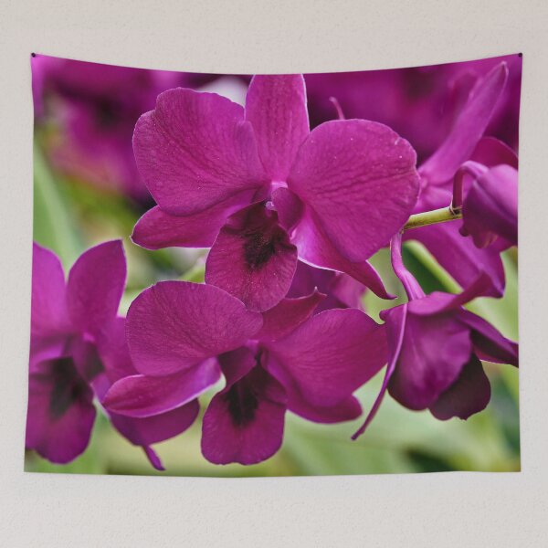 Item preview, Tropical splendor: the orchid in all its grace designed and sold by franck380.