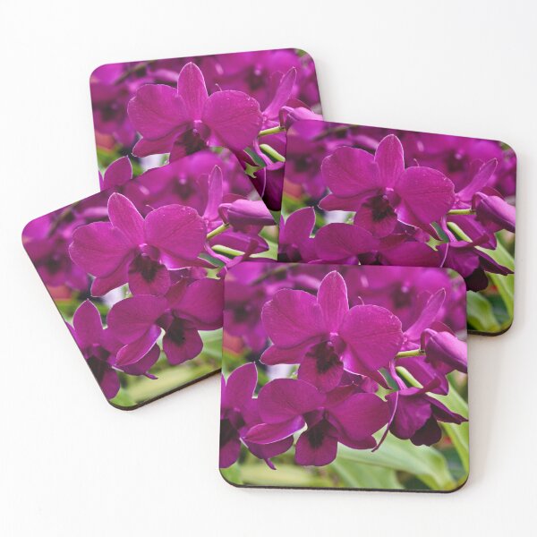 Item preview, Tropical splendor: the orchid in all its grace designed and sold by franck380.