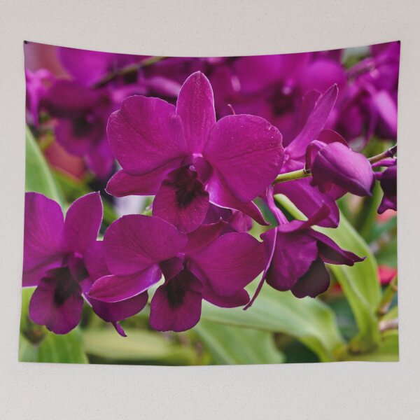 Item preview, Tropical splendor: the orchid in all its grace designed and sold by franck380.