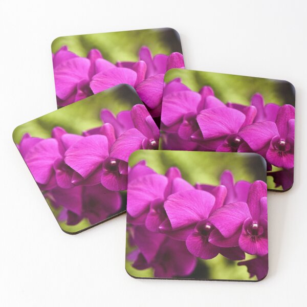 Item preview, Tropical splendor: the orchid in all its grace designed and sold by franck380.