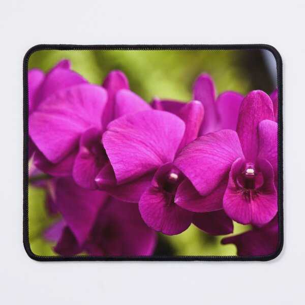 Item preview, Tropical splendor: the orchid in all its grace designed and sold by franck380.