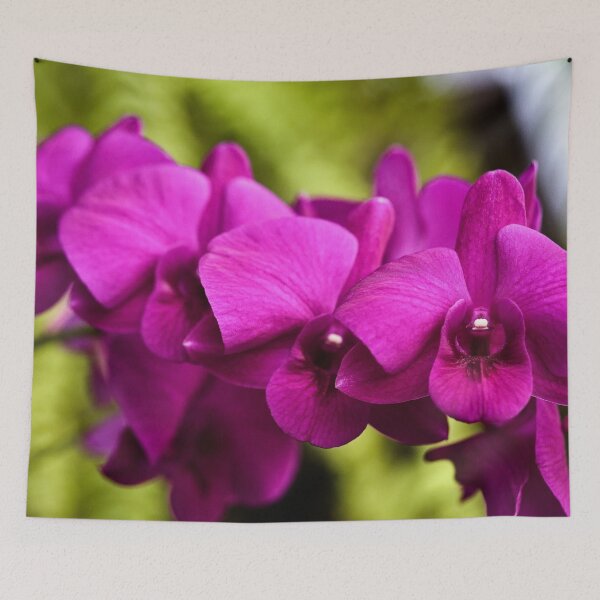 Item preview, Tropical splendor: the orchid in all its grace designed and sold by franck380.