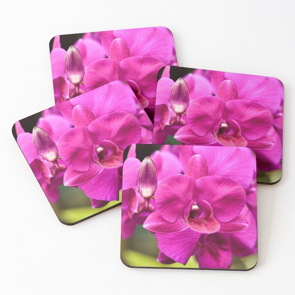 Item preview, Tropical splendor: the orchid in all its grace designed and sold by franck380.