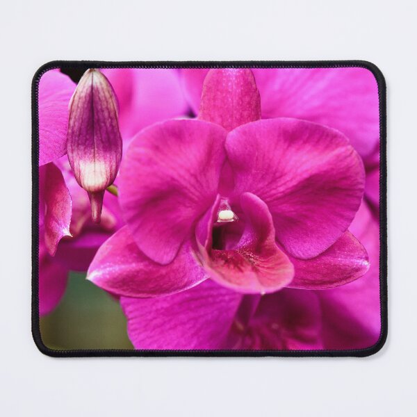 Item preview, Tropical splendor: the orchid in all its grace designed and sold by franck380.
