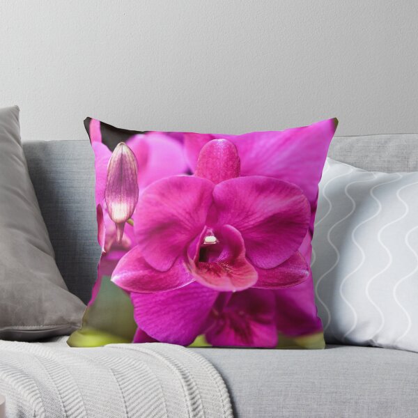 Item preview, Tropical splendor: the orchid in all its grace designed and sold by franck380.