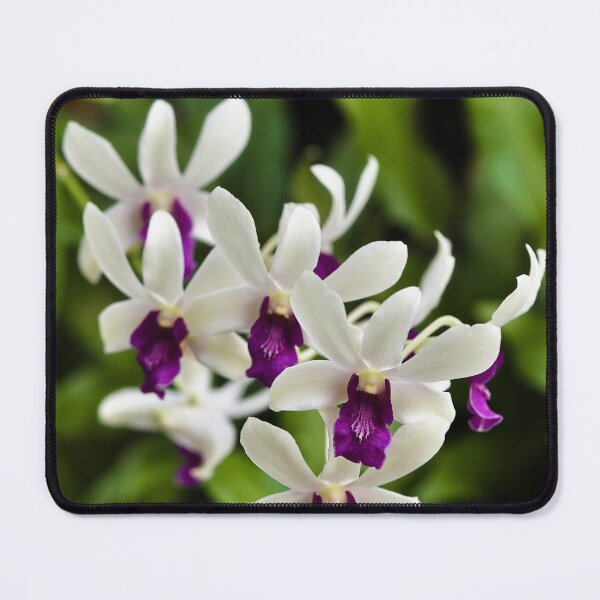 Item preview, Vibrant orchid flowers with a deep purple heart designed and sold by franck380.