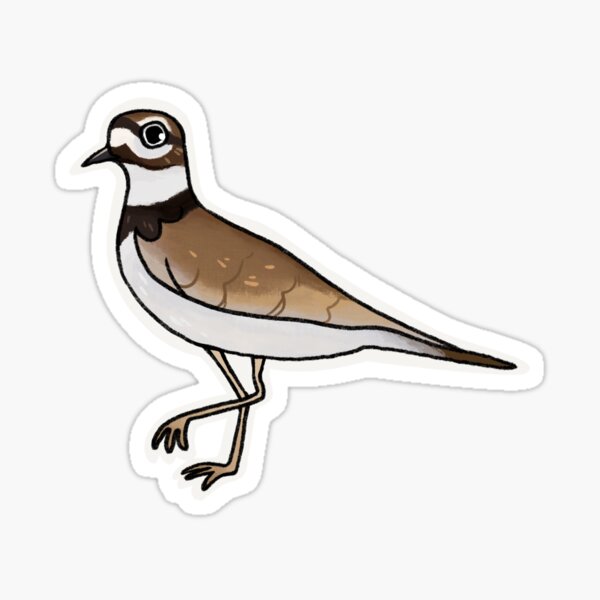 Item preview, Killdeer - Small Shorebirds designed and sold by APhillips27.