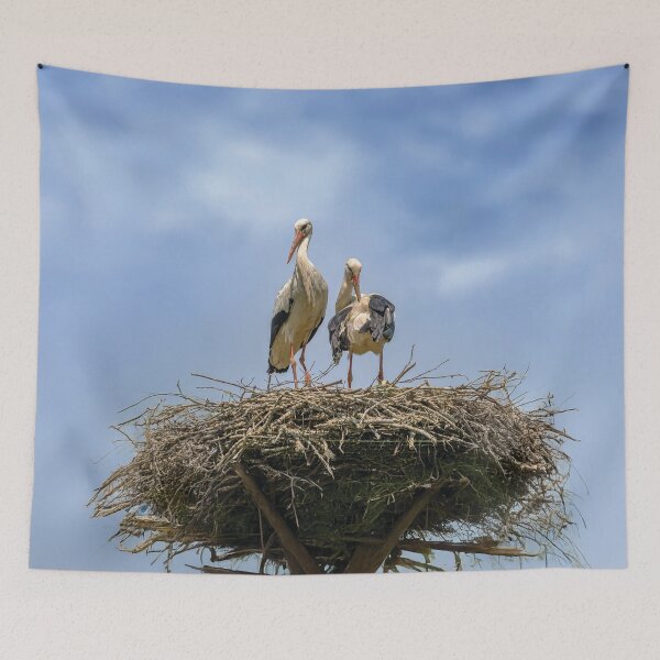 Item preview, Two storks in the nest designed and sold by Marcu Ioachim.
