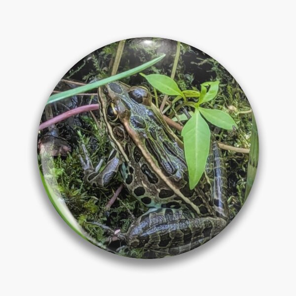 Artikelvorschau, Leopardfrosch entworfen und verkauft von arfff.