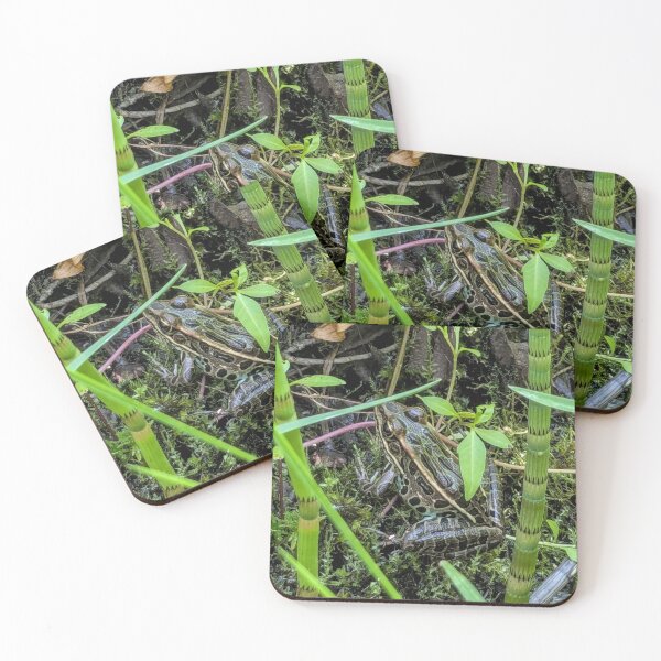 Item preview, Leopard frog designed and sold by arfff.