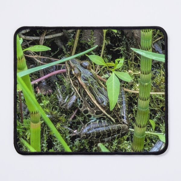 Item preview, Leopard frog designed and sold by arfff.