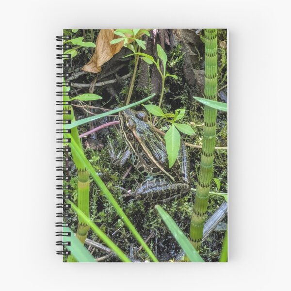 Item preview, Leopard frog designed and sold by arfff.