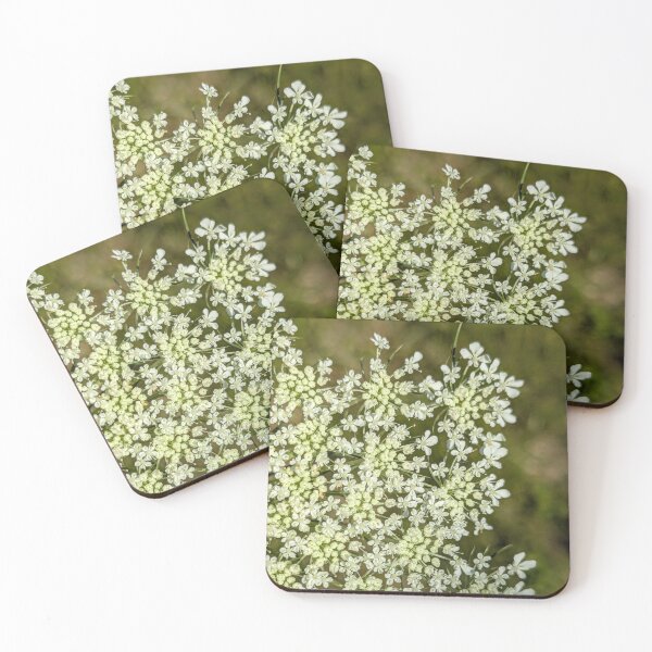 Item preview, Queen Anne's Lace designed and sold by arfff.