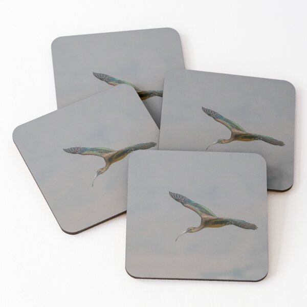 Item preview, Glossy Ibis High Speed Pass  designed and sold by Ralph Goldsmith.