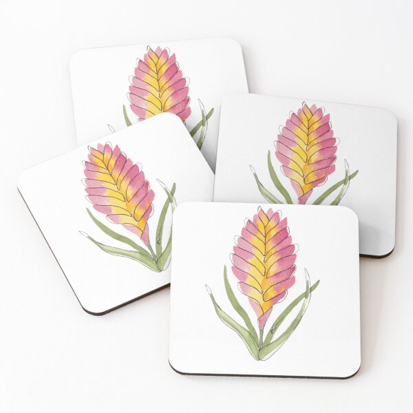 Item preview, Bromeliad Sticker designed and sold by Kirsten Robinson Art.