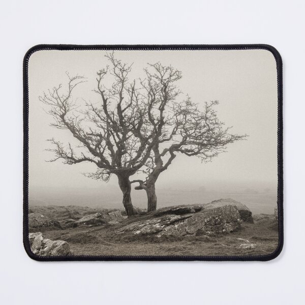 Item preview, Dartmoor Solitude designed and sold by David Bowman.