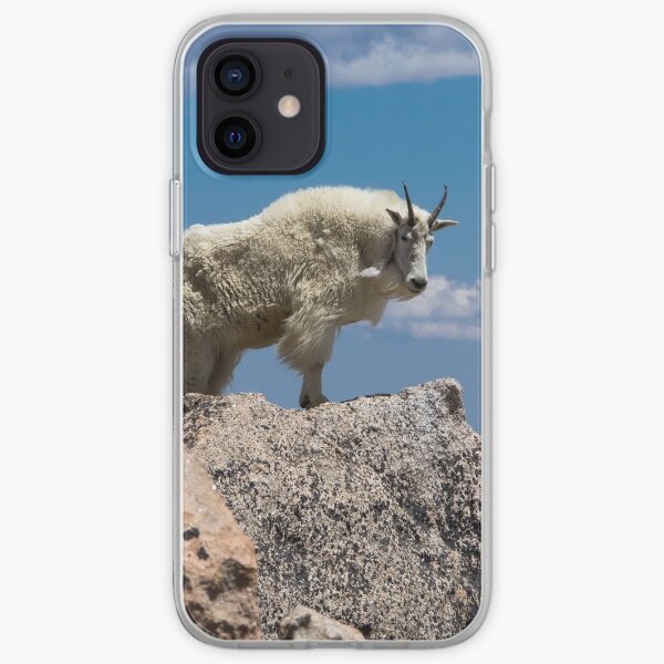 Above The Clouds iPhone Soft Case
