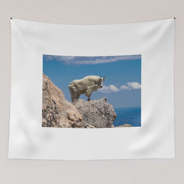 Item preview, Above The Clouds designed and sold by Alla Gill.