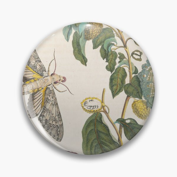 Item preview, Maria Sibylla Merian’s Metamorphosis Insectorum Surinamensium (1705) designed and sold by Vintage Designs +.