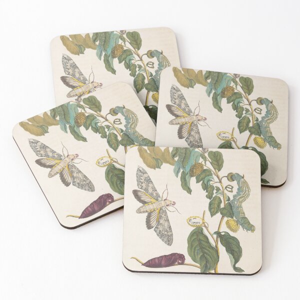 Item preview, Maria Sibylla Merian’s Metamorphosis Insectorum Surinamensium (1705) designed and sold by Vintage Designs +.