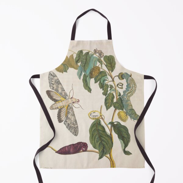 Item preview, Maria Sibylla Merian’s Metamorphosis Insectorum Surinamensium (1705) designed and sold by Vintage Designs +.