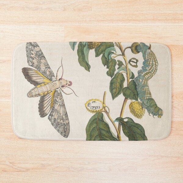 Item preview, Maria Sibylla Merian’s Metamorphosis Insectorum Surinamensium (1705) designed and sold by Vintage Designs +.