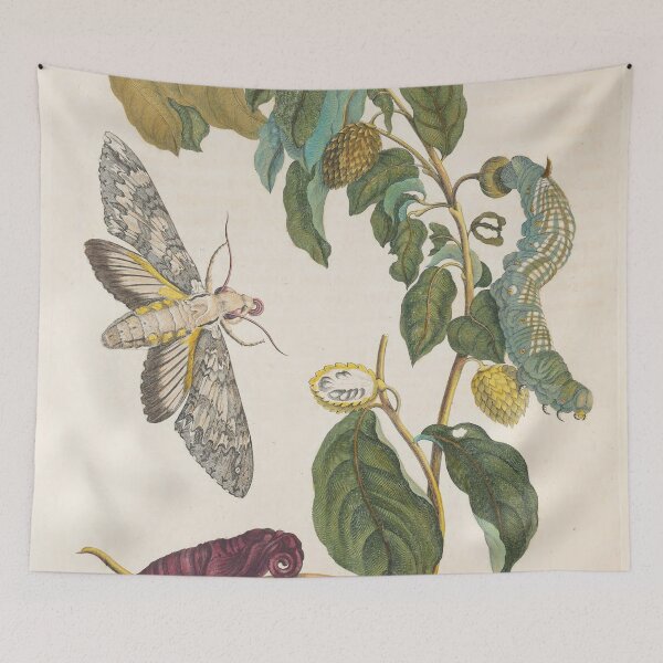Item preview, Maria Sibylla Merian’s Metamorphosis Insectorum Surinamensium (1705) designed and sold by Vintage Designs +.