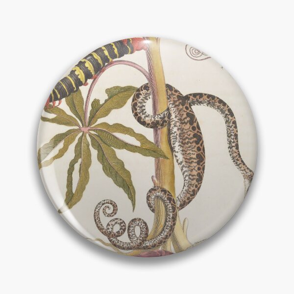 Item preview, Maria Sibylla Merian’s Metamorphosis Insectorum Surinamensium (1705) designed and sold by Vintage Designs +.
